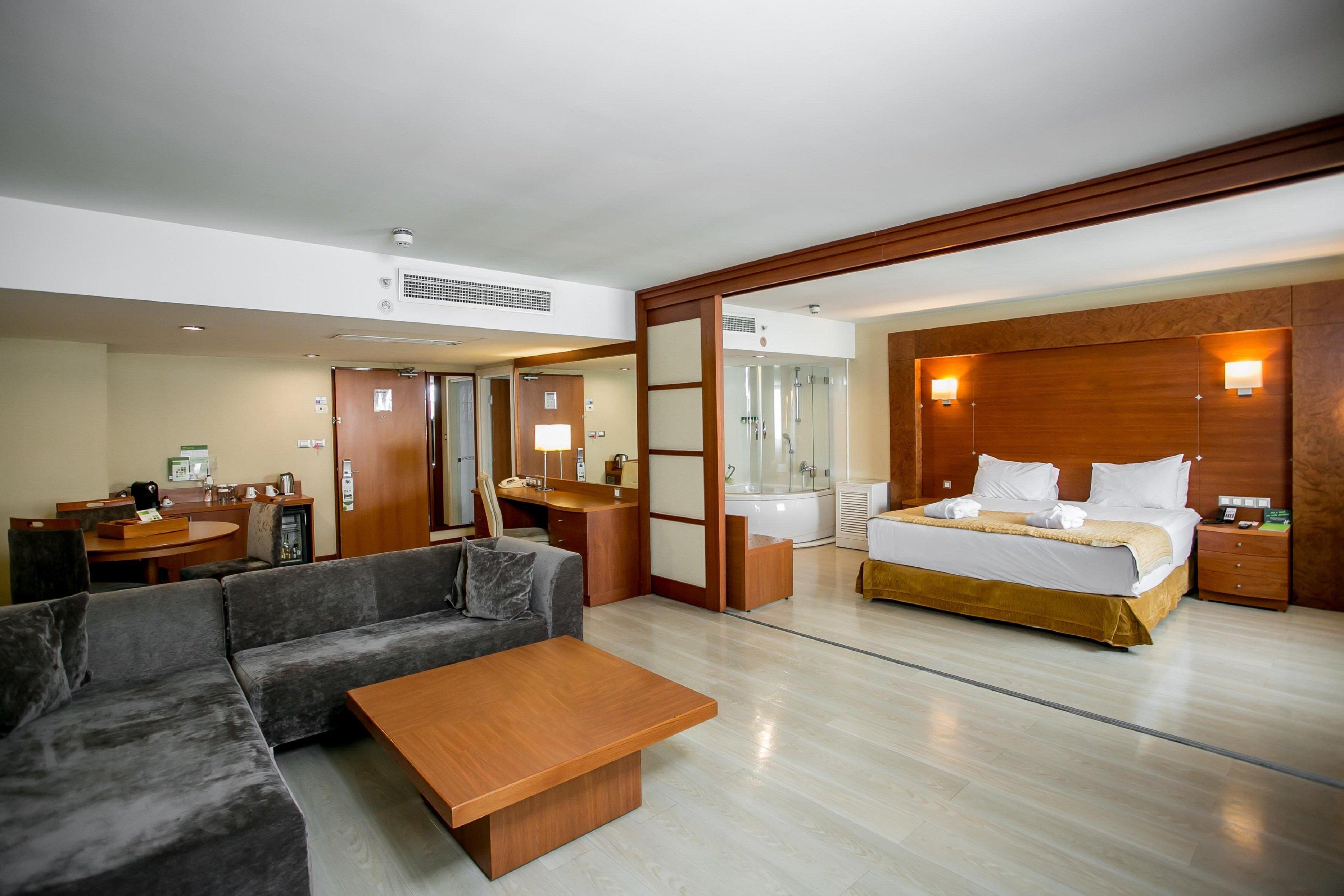 伊斯坦布尔市假日酒店 外观 照片 Suite